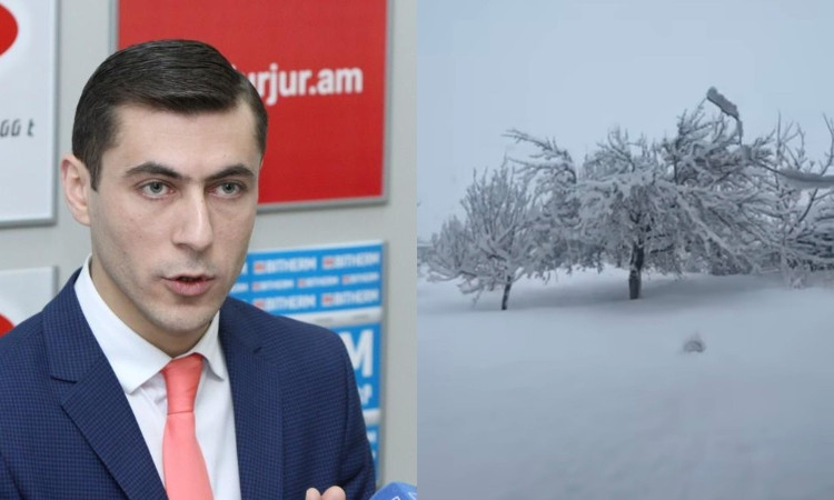 gagik-surenyan_DicNN.jpg