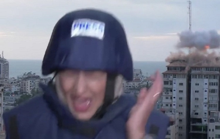 img8543_ZTzvM.jpeg