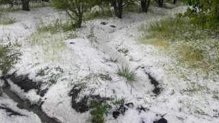 karkut-1_Tdhm2.jpg