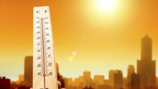 img5010_CtP64.jpeg