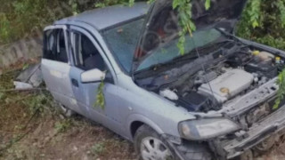 img7310_pHJ18.jpeg