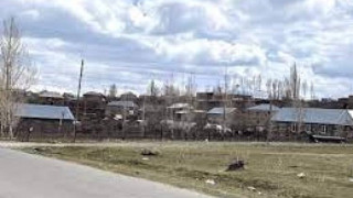 img9099_wCWW-.jpeg