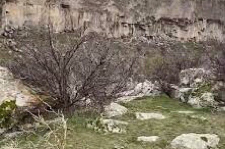img0362_8FtEJ.jpeg