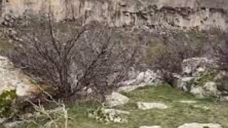 img0362_8FtEJ.jpeg