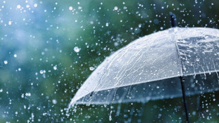 anjrev-1_UuALr.jpg