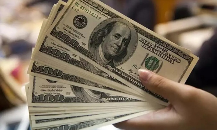 dolar_SgtHE.jpg