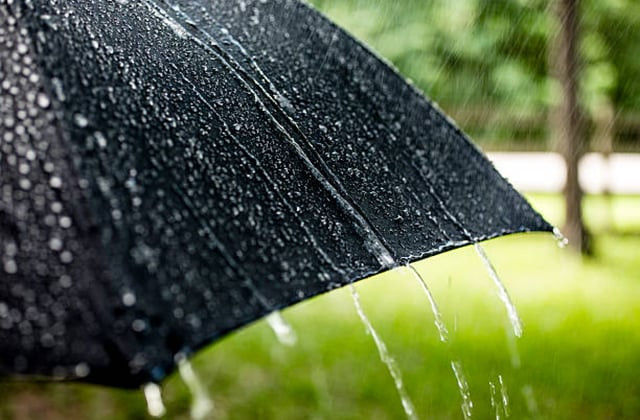 istockphoto-476026368-612x612-1_OPjYs.jpg